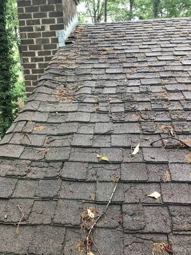 roof replacement contractors davie fl